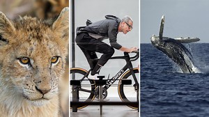 The 10 best National Geographic series on Disney+ to help you learn something new