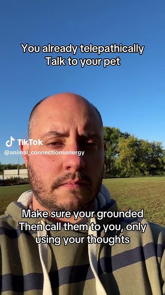 You already know how to telepathically talk to your pet. It just takes presence and practice. Try it out. #animalcommunication #animalcommunicator #dogmom #intuition