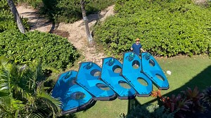 Blue Planet Alien Wing- Wing foiling with the Alien- stiff & smooth