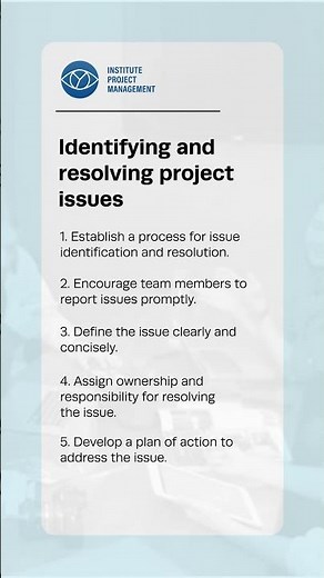 Identifying and resolving project issues