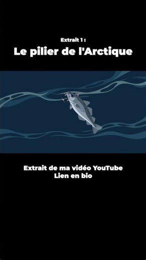 This fish feeds the Arctic! #cod #arctic #science #animals #nature