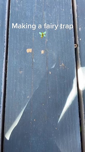 first vid #fairytrap #fairyhunter #rp #fyp | fairy