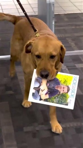 Check out these cuties!