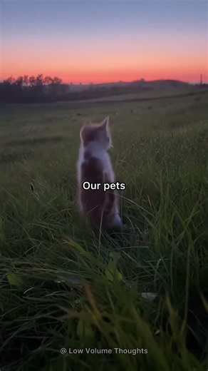 Which ones are you thankful for? 😊✨