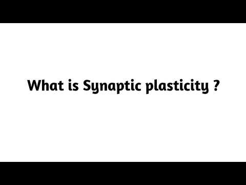 What is Synaptic plasticity ?