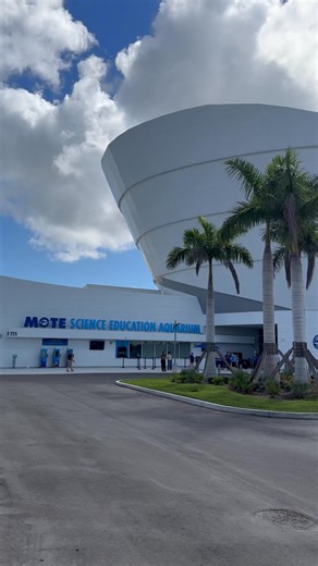 welcome to the neighborhood, Mote Marine Laboratory & Aquarium💙 mote science education aquarium (sea) is officially open, offering three levels of ocean wonder and discovery. sea you there! ✨ open 9:30 a.m.–5 p.m. daily. | University Town Center Sarasota