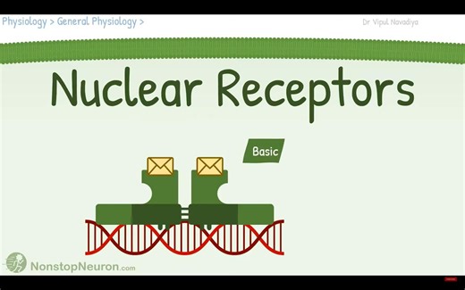 【生物动画】细胞生物学-核受体与信号通路