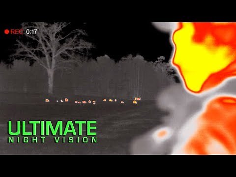 Full Auto Hog Hunting with Night Vision and Thermal