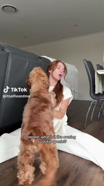 alfieandme on TikTok