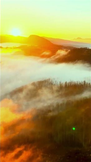 Nature never fails to amaze #8khdr #naturevideo #dolbyvision #hdrvideo #nature #ultrahd #cinematic