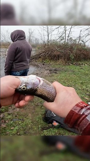 How to quickly dispatch a fish