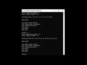 Programming Final Assessment