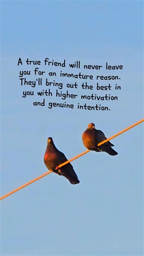 #friendship #bestfriends #friends | Quotes and Notes