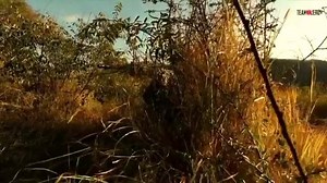 35K views · 612 reactions | From our Library.... My job around the world!!! Please check the complete video on YouTube Official Channel  | Instructor Zero | Facebook