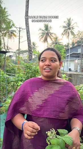 Here are the different varieties of raspberries…