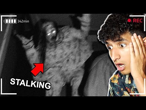 WE FOUND A CLOWN IN HER HOUSE... *REACTION*