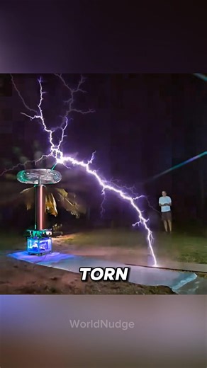 Why Tesla’s Wireless Power Tower Was Destroyed #reels #facts