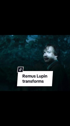 Remus Lupin: Harry Potter's Werewolf Professor