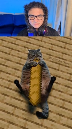 Um GATO REAL no Minecraft 😳🐱