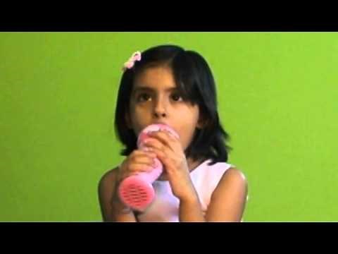 Leapfrog Toys | Learn & Groove Musical Microphone Toy Review