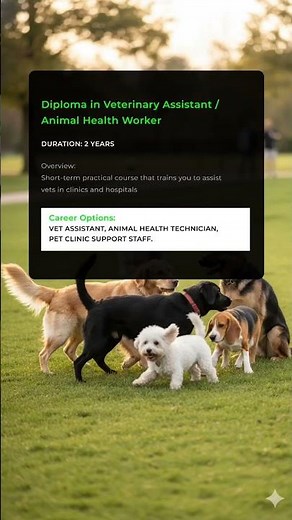 Top 5 Courses for Veterinary & Animal Related Study #campusunlocked #vet