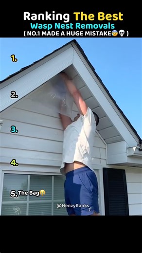 Ranking Best Wasp Nest Removals🐝😰