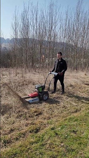 Mulčovač VARI powered by EGO na několik let neudržovaném pozemku #vari #myjsmevari