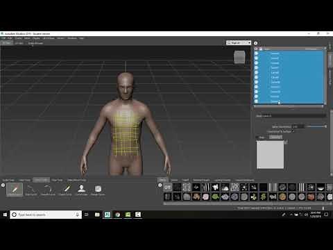 Mudbox 05 08 Create a Mesh from Curves