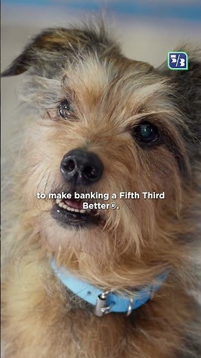 Banking a Fifth Third Better® | Fifth Third Bank