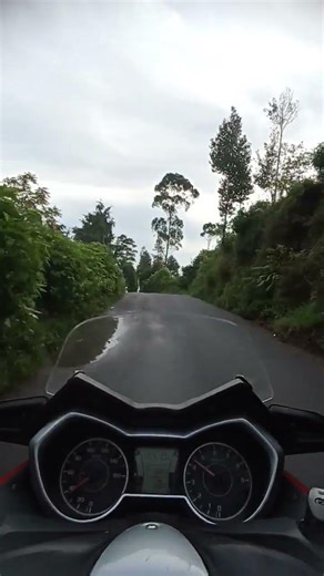 xmax touring dieng wonosobo#wonosobo#dieng#xmax#xmax250#touring#blue#shorts#shortvideo#short