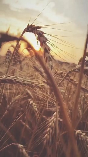 Morning vibes #nature #morningvibes #naturelove