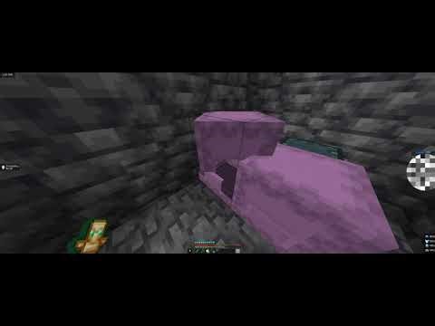 NEW DonutSMP DUPE Glitch Not Patched