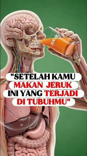 Oranges in the Body: The Journey of Vitamin C