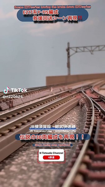 E217系救援連結回送シーン再現の魅力