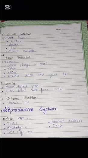 Anatomy of rat external or internal