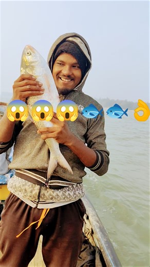 😱😱😱😱 ..2..kg elis macha #music #bollywoodsongs #hindisong #fishing