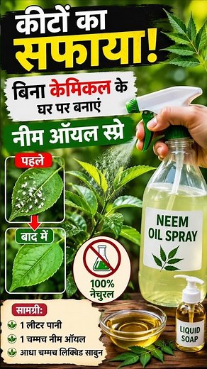 How to Make Neem Oil Spray? 🪴 Get Rid of Plant Pests!