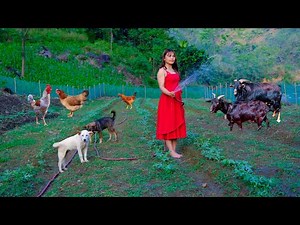 Full video 2 years of building a new life | Farming and livestock and cooking | live with nature