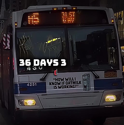 BusRock Season 1 Episode.5 The rating of the M5 bus #nyc #mta #bustransit Disclaimer: Not my Clips! and out of all respect I got this idea from @NYCT_FB