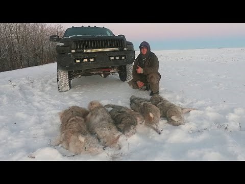 On the Trapline Ep. 4 - Great Coyote Trapping While Fighting Through a Tough Winter on the Trapline