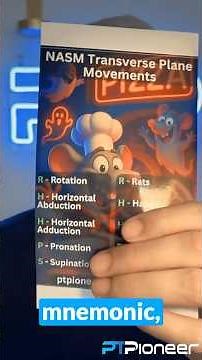 🔄 NASM Transverse Plane Movements + Mnemonic & Quiz