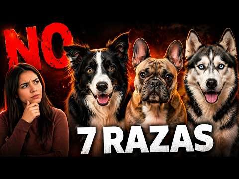 NO Adoptes un Perro Sin Ver Esto — 7 Razas y Solo 1 es Para Ti