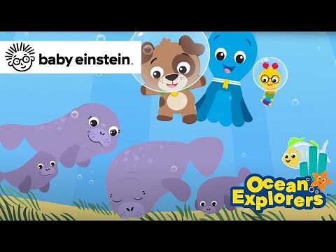 Discovering Manatees | New Ocean Explorers | Baby Einstein | Toddler Song | Kids Cartoons