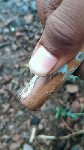 ఈరోజు మనం చేస్తున్నాం mini fake gun experiment mama