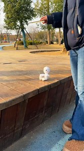 This is seriously so much fun! #ParentChildCrafts #CreativeCrafts #HomemadeToys #Marionette #fblifestyle | hand made crafts for kids