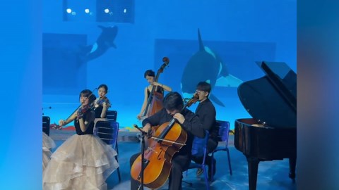 Whales intrigued by classical music as orchestra plays outside aquarium