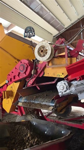 Steyr mit Mengele Kipper lädt Kartoffel ab🥔🚜