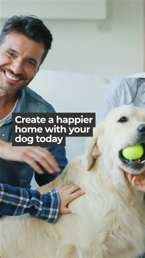 Caring for Mixed Breed Dogs' Unique Needs