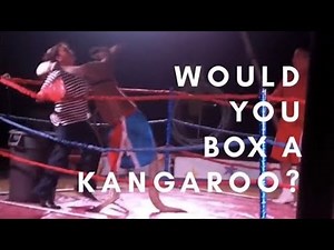 Boxing Kangaroo Owns Woman (Original)