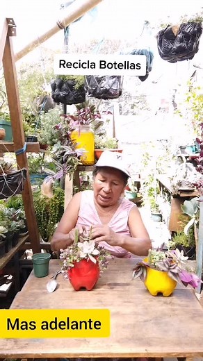 Cómo hacer maceteros con botellas de plástico recicladas